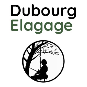 Lire la suite à propos de l’article Protégé : Dubourg Elagage – jardinier élagueur
